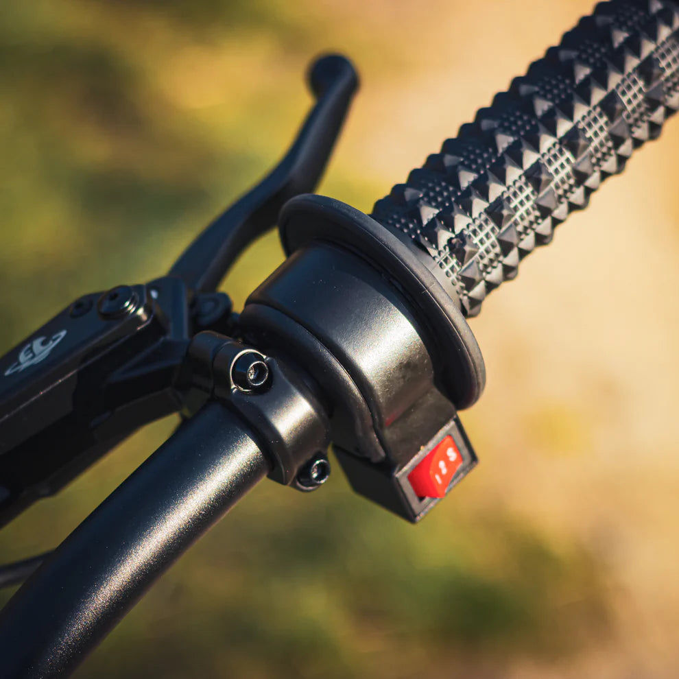 READY TO RIP ELECTRIC TRAIL MACHINE
